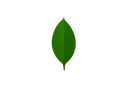 MongoDB